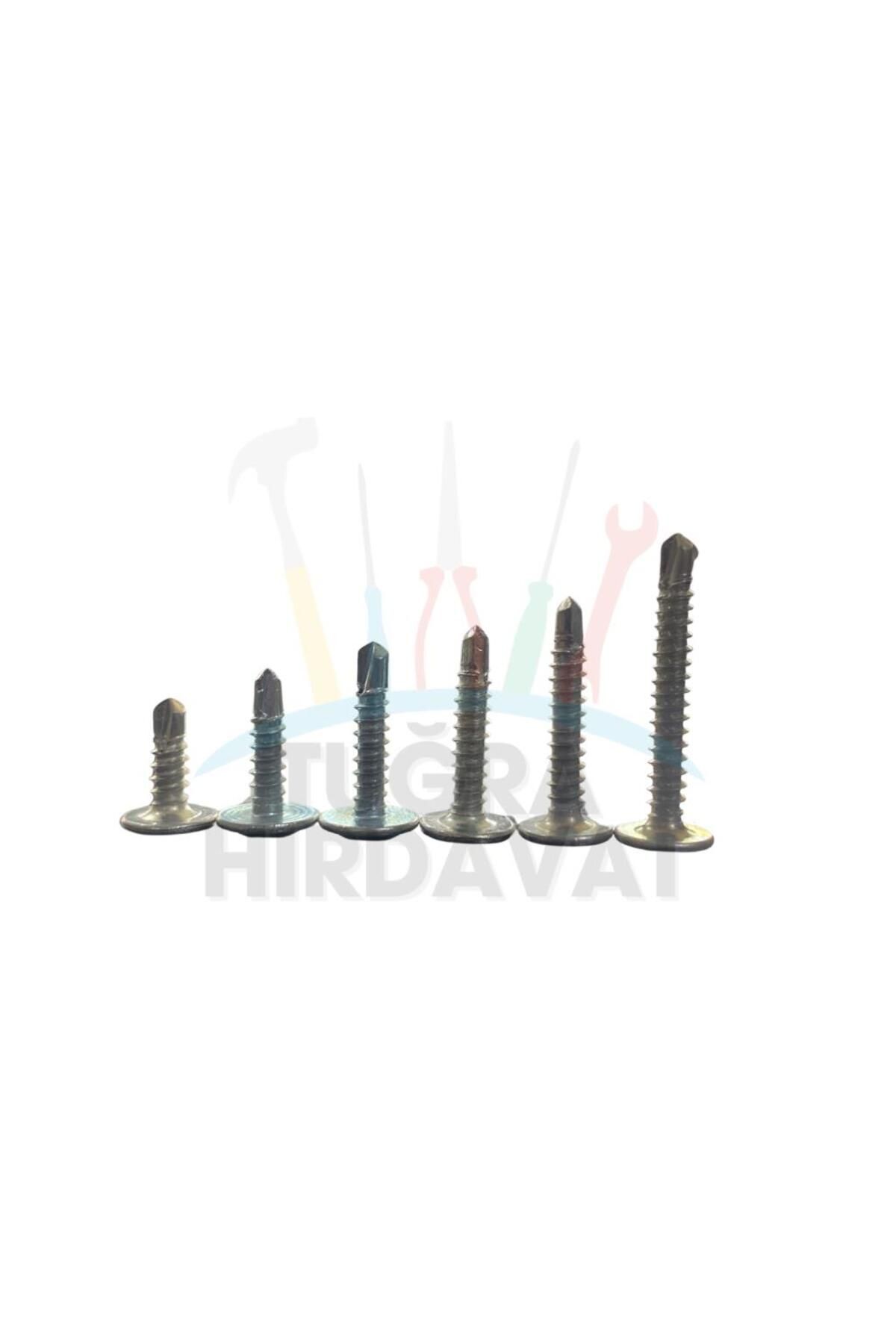 Rysb 4,2x19 mm 100 Adet Beyaz Pul Başlı Matkap Uçlu Vida Otomatik Vida