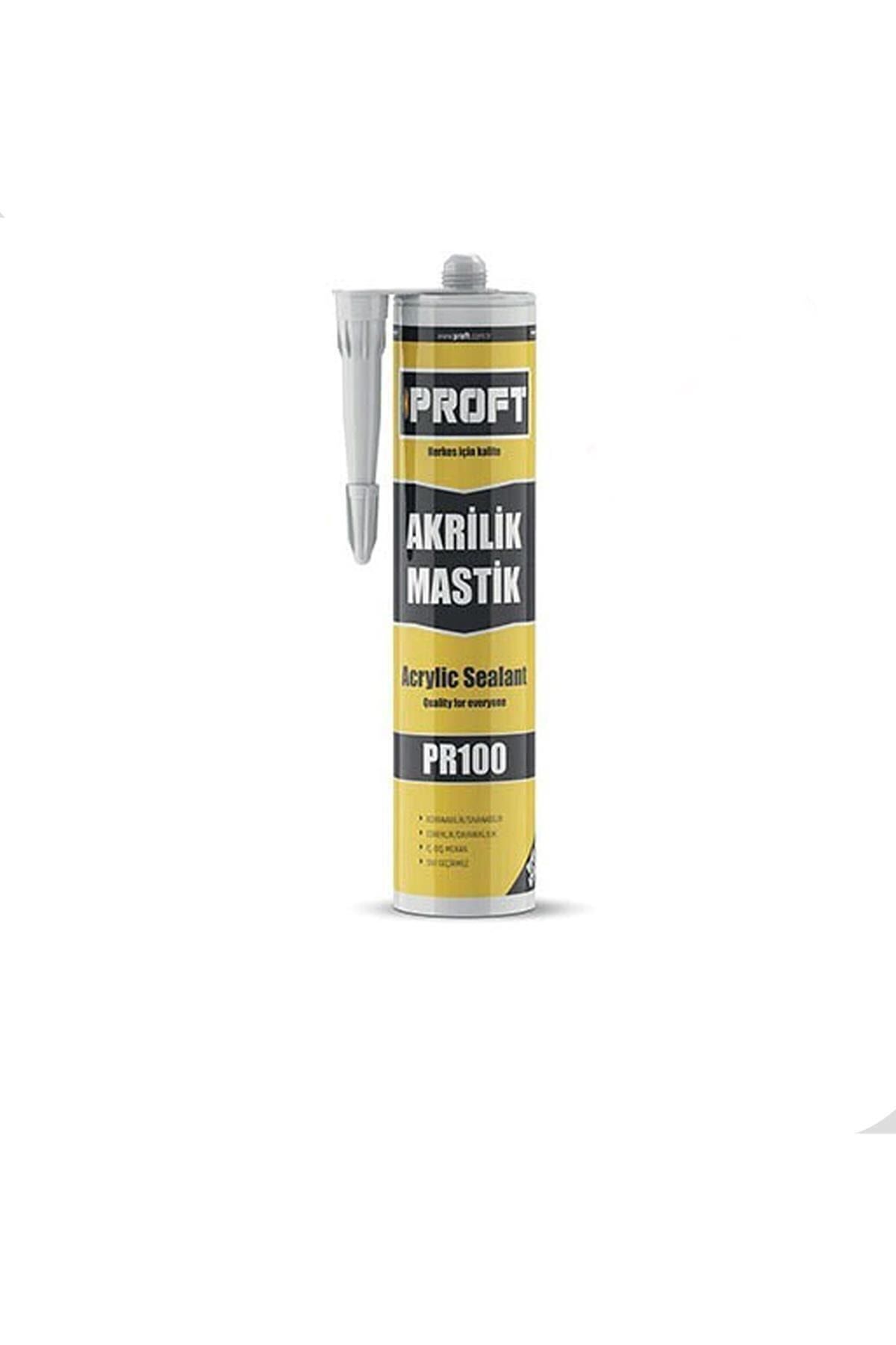 Pr100 Akrılık Mastık 450 gr Beyaz