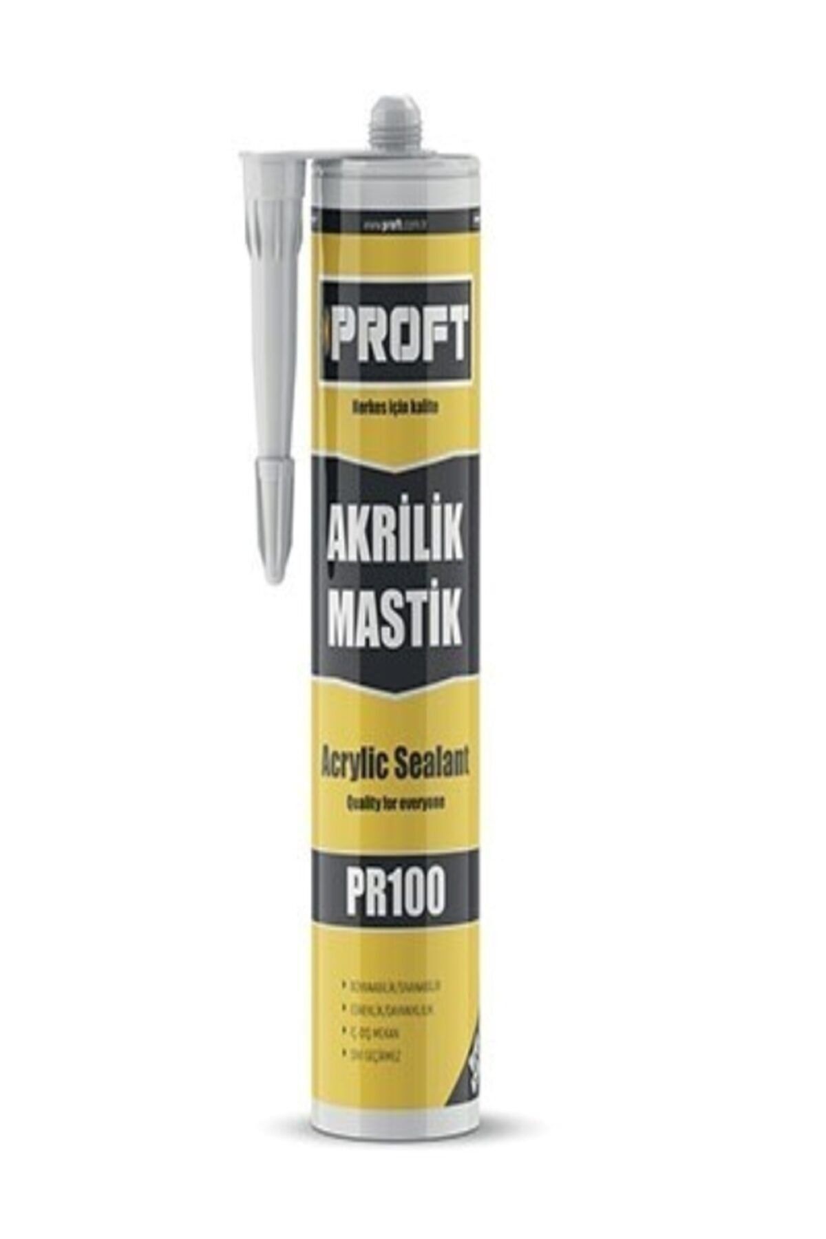 Pr100 Akrilik Mastik 450 gr